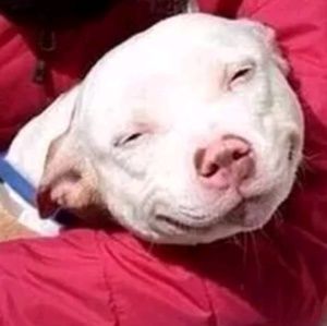 Meet your Posher, Cassie